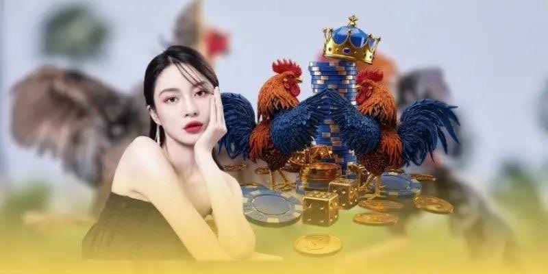 Xem đá gà nhanh như chớp - Khám Phá Thú Vui Độc Đáo Của Người Việt